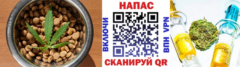 omg ссылки Иркутск Cannafood конопля