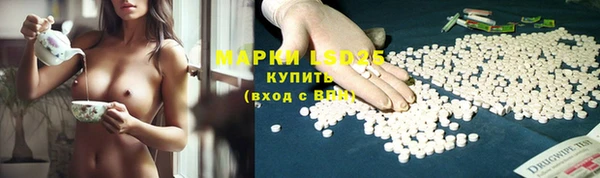прущие крисы Абаза